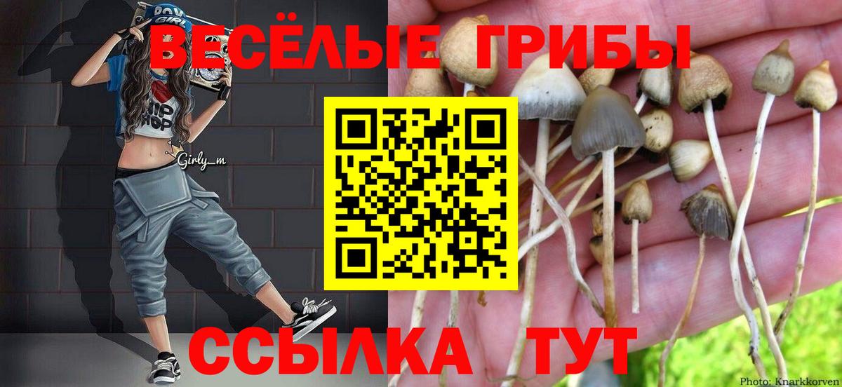 Татарск  Псилоцибиновые грибы прущие грибы  Вход с VPN 