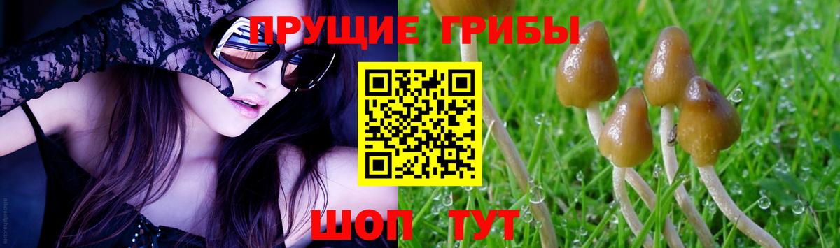 Псилоцибиновые грибы мицелий Татарск
